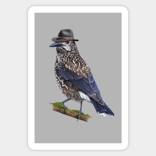 Spotted nutcracker Sticker